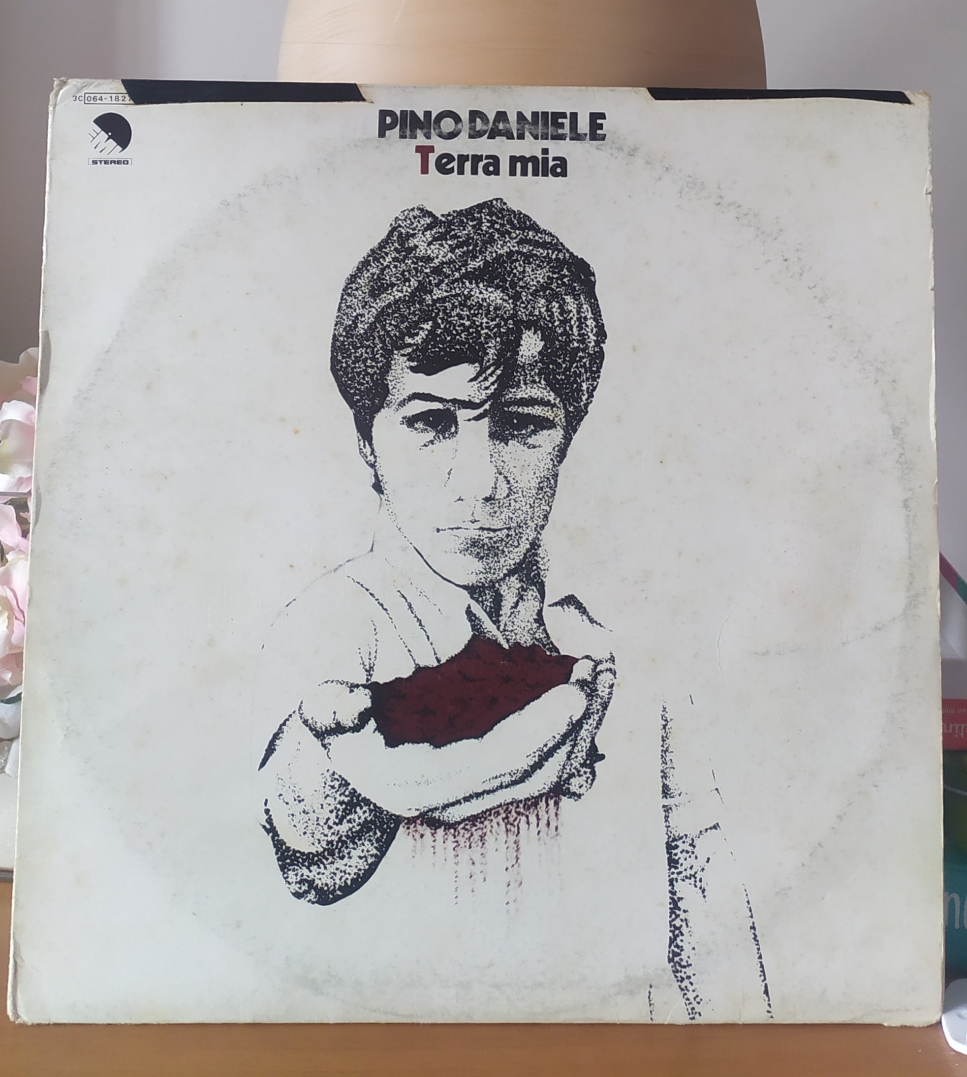 Una canzone Pino Daniele Napule è Parliamo un po' di musica